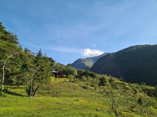 Hostal Mountain View Lodge