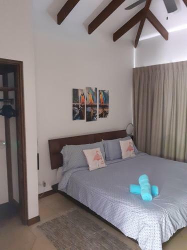Pura Vista Villas