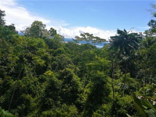Corcovado Private Villas - Avatar Private Reserve