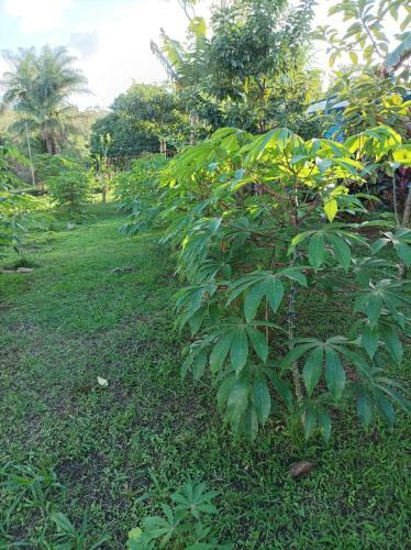 Casa De Monta�a Amapola