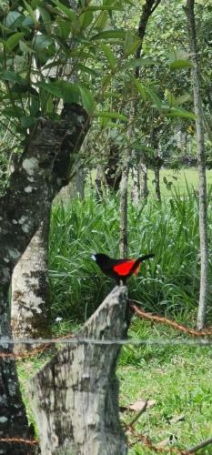 Caba�a Y Rancho Los Rojas
