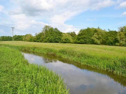 Watermeadow