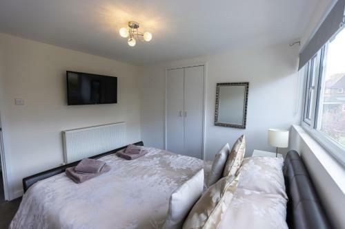 Beautiful Detached 1 Bedroom Apartment