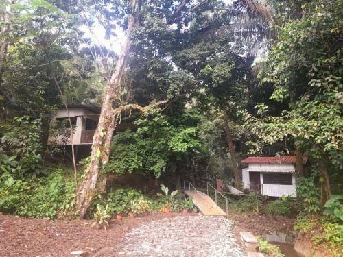 Apartamento Casa Escondida #1 ( Jungle View )