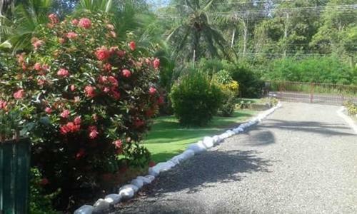 Hostal Casa Champion