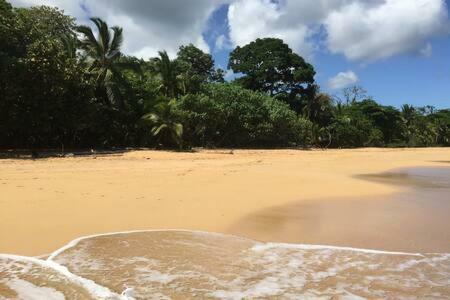 Abracadabra Bluff Beach