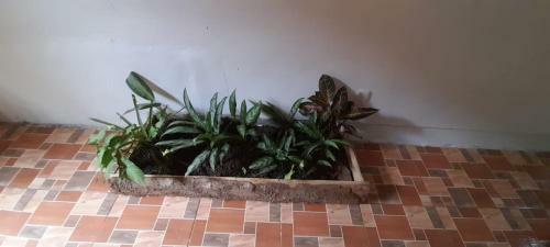 Apartamento Casa Cristy
