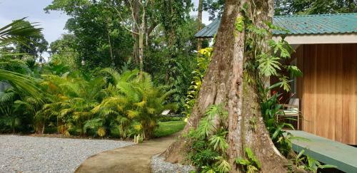 Bed & Breakfast Casa Kimba