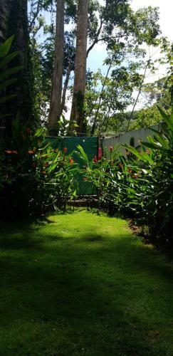Bed & Breakfast Casa Kimba