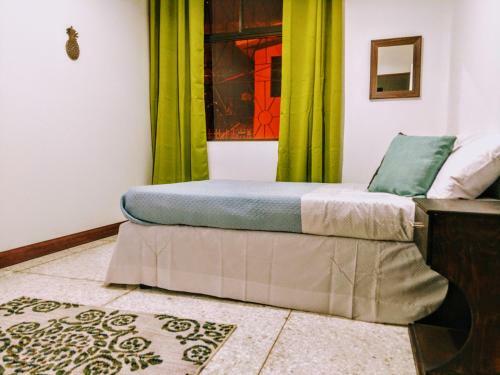 Stray Cat Hostel