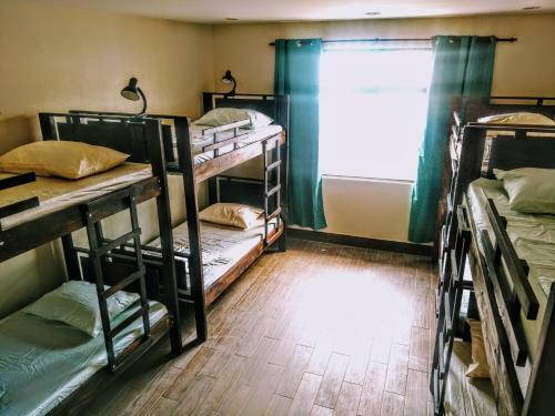 Stray Cat Hostel