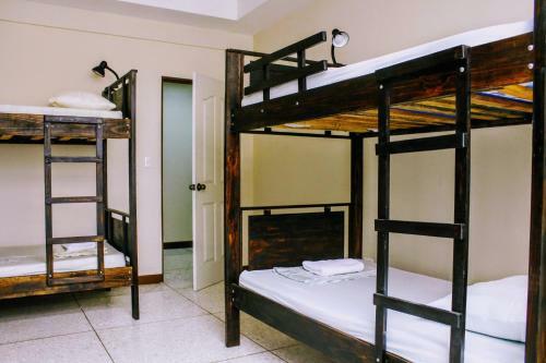 Stray Cat Hostel