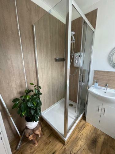 Albert Road Apartment
