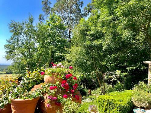Seven Acre Corner B&B
