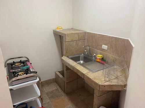 Two-bedroom Apartment/home Office In San Jose Center