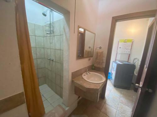 Two-bedroom Apartment/home Office In San Jose Center