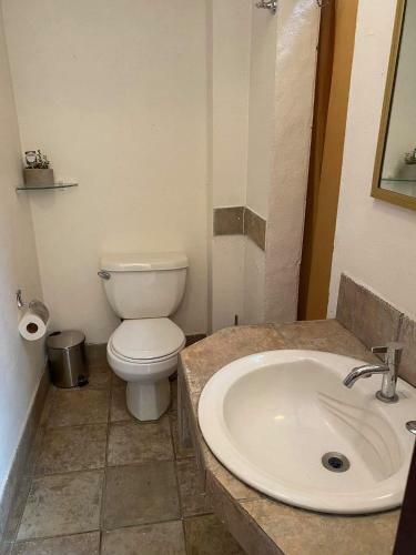 Two-bedroom Apartment/home Office In San Jose Center