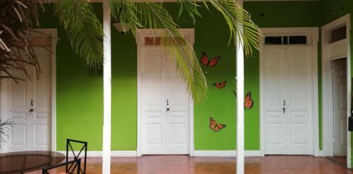 Posada Casa Mayela Guest House