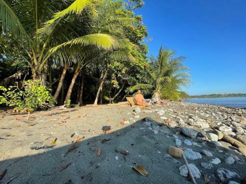 Apartamento New: Wildlife Vacations & Beach Lounge @ Paz