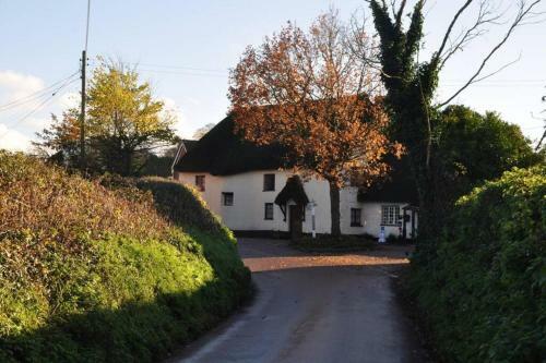 Church View, Poltimore