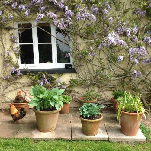 Apartamento Beautiful Devon Farmhouse