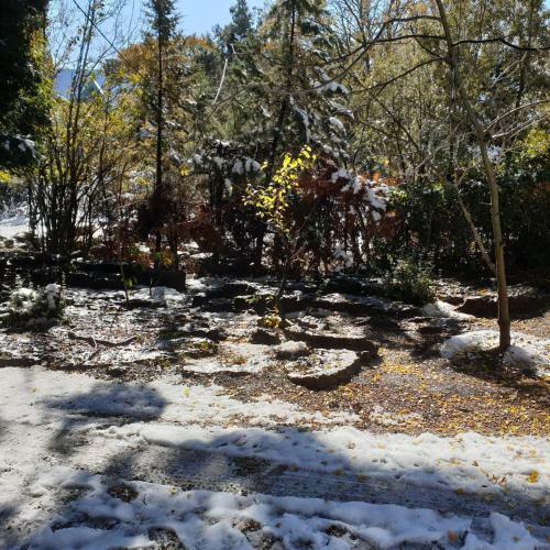 Chalet Ifrane