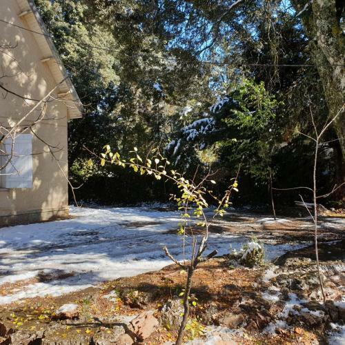 Chalet Ifrane