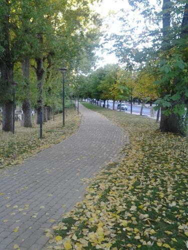 Apartamento Ifrane