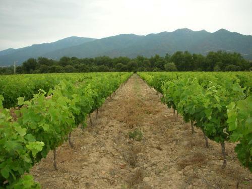 Hostal Domaine De Nidol�res