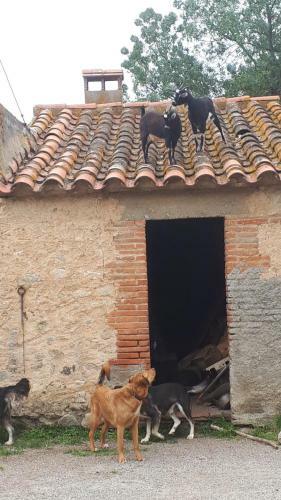 Hostal Domaine De Nidol�res