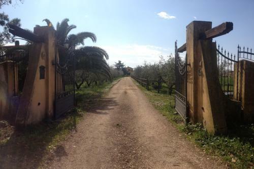 Bed & Breakfast Casal Dei Papi