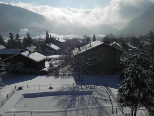 Hotel H�tel Des Skieurs