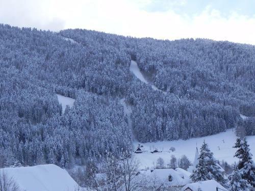 Hotel H�tel Des Skieurs