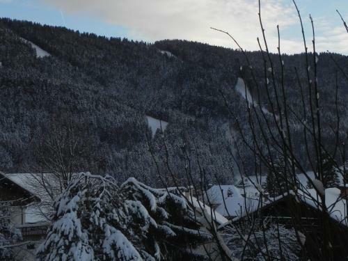 Hotel H�tel Des Skieurs