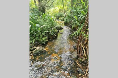 Apartamento Nature Lovers Paradise