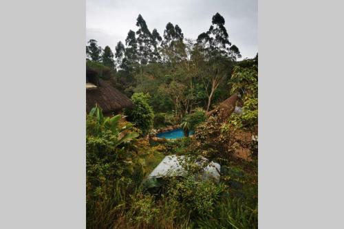 Apartamento Nature Lovers Paradise