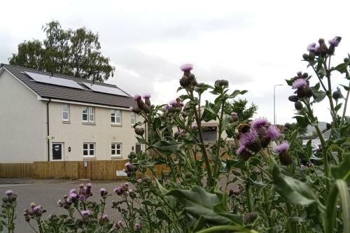Broomhouse Homestay