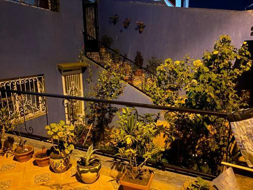 Apartamento Dar-jasmin