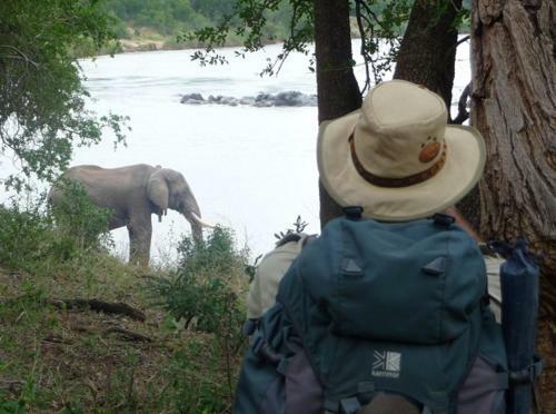 Lodge Manukuza Wilderness