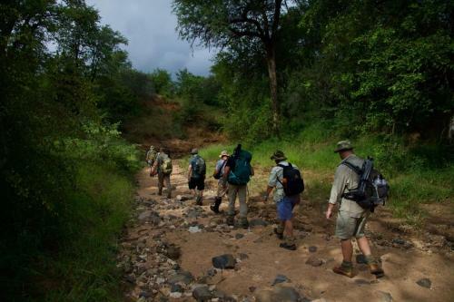 Lodge Manukuza Wilderness