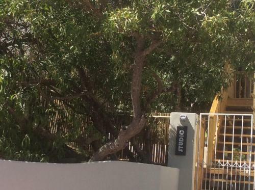 Apartamento Glen Eden Studio
