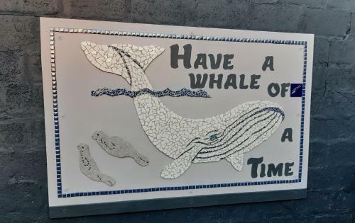 Apartamento Whale Watch Accommodation