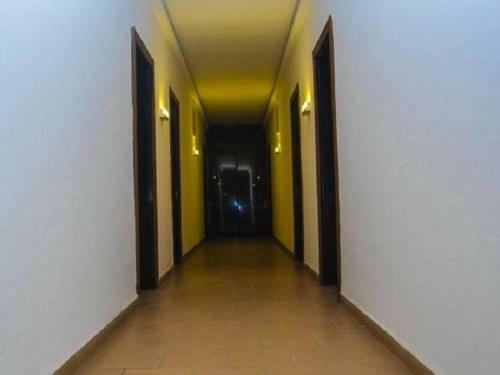 Park Hotels