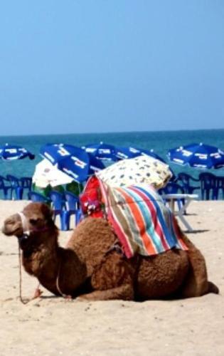 Apartamento Martil Vacances