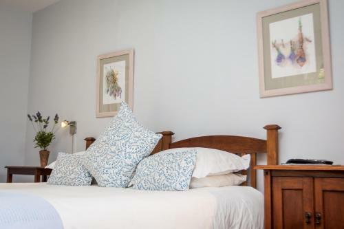 Hostal Jenny's Guest House