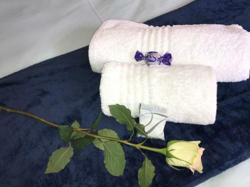 Bed & Breakfast Cul De Sac - Accommodation