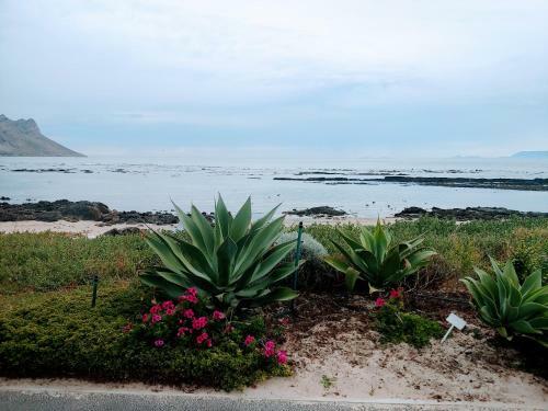 Apartamento Greenways Golf Beach E8 - Sea View