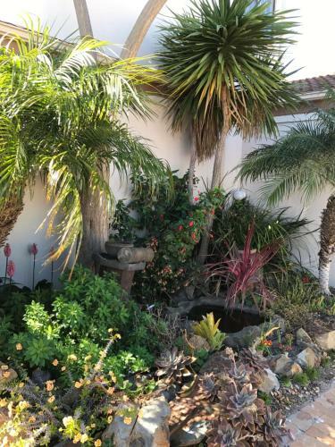 Hostal Bay Breeze Guesthouse