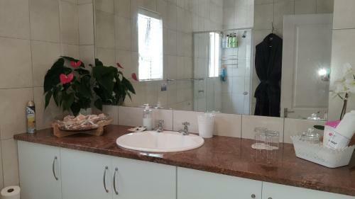 Hostal Amelia's By The Sea