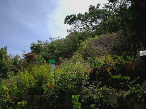 Apartamento C-nic Route Self-catering Accommodation Glentana